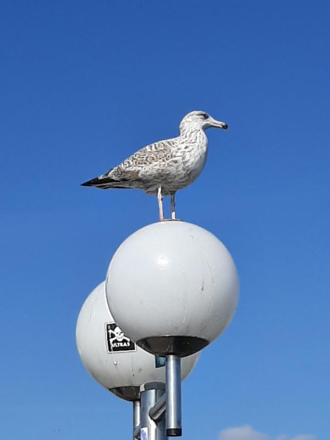 Penthouse Ferienwohnung Auszeit, Gerne Mit Hund, Wlan Inkl. Laboe Exterior foto
